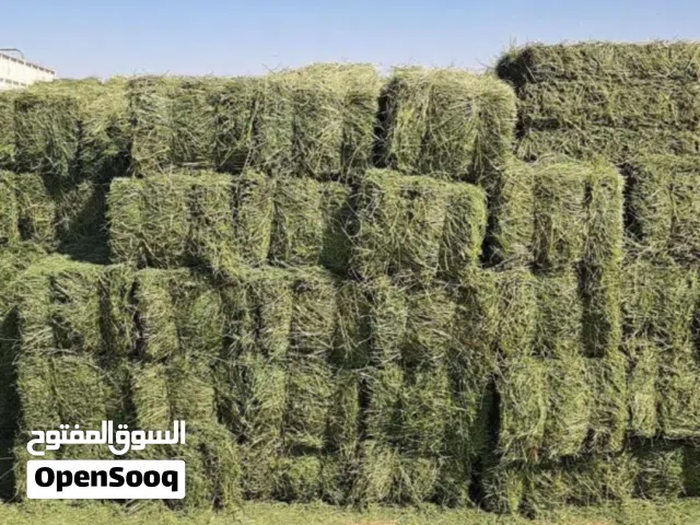 حشائش للبيع/برايد حشيش