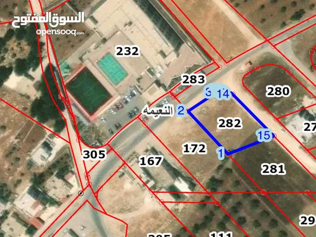 ارض للبيع النعيمة منطقة العبارة
