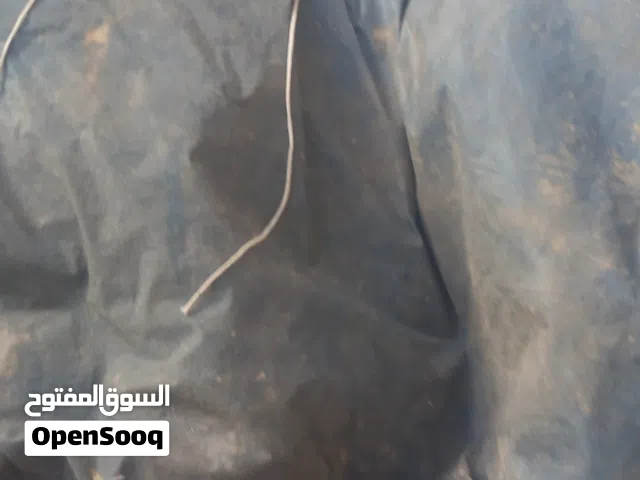 قيطون سوناتا شحن بطارية سيارة  للبيع