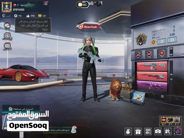 Pubg Accounts and Characters for Sale in Al Dhahirah