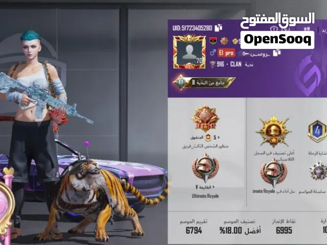 Pubg Accounts and Characters for Sale in Jafara
