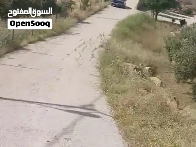 مزرعة حرق شاليهات ومزارع زيتون 4دونم شرق جرش عين والمعمريه بسعر 17ألف مشيكه مع كرفان مزرعة حرق شاليه