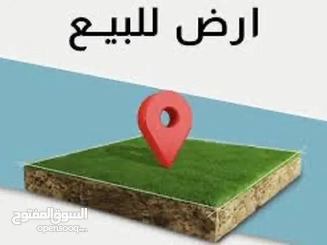 السلط السرو