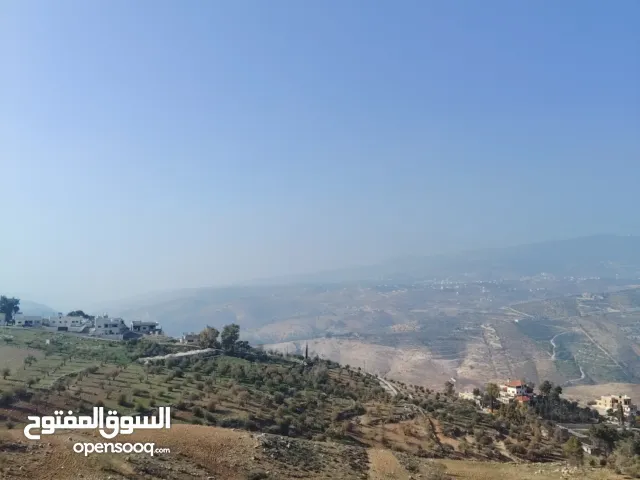 Farm Land for Sale in Jerash Al-Mastaba
