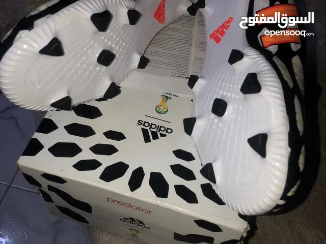 Adidas Sport Shoes in Ismailia
