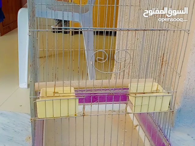 قفص ببغاء أو اي طير