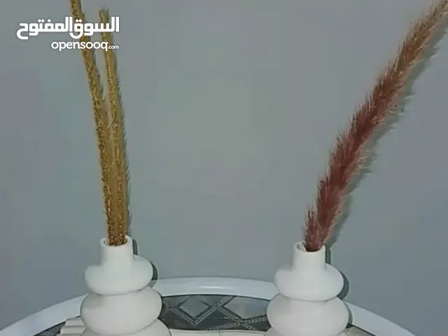جبس بالخليل نضيف جودة عالية