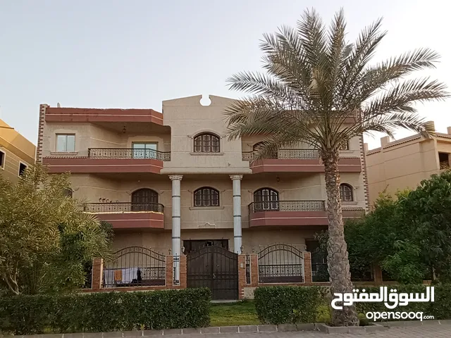 250 m2 3 Bedrooms Apartments for Rent in Qalubia El Ubour