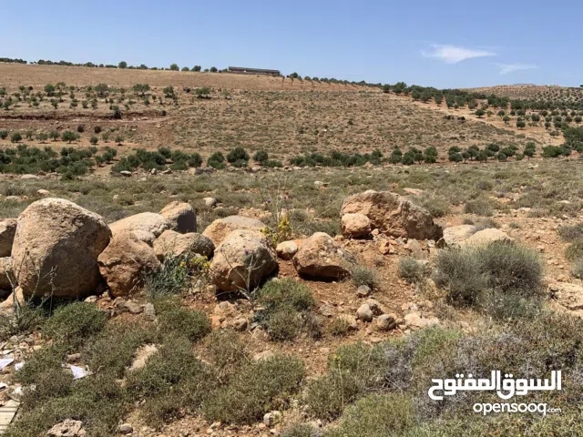 Farm Land for Sale in Rif Dimashq E'sem