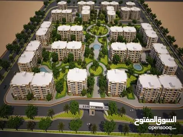 شقة مفروشة الشيخ زايد