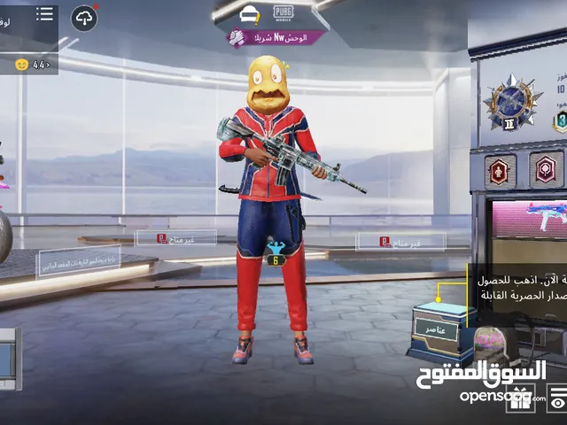 Pubg Accounts and Characters for Sale in Al Bayda'