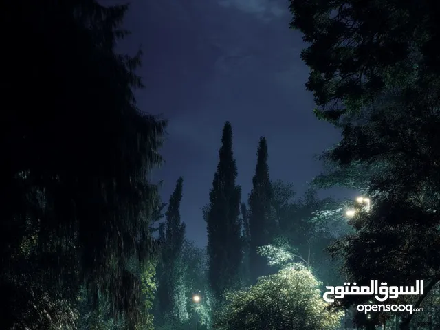 صالون نقل كفالة