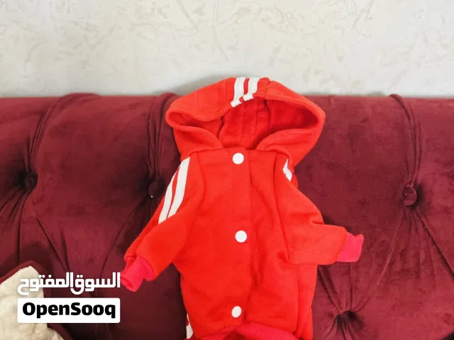 أواعي حيوانات
