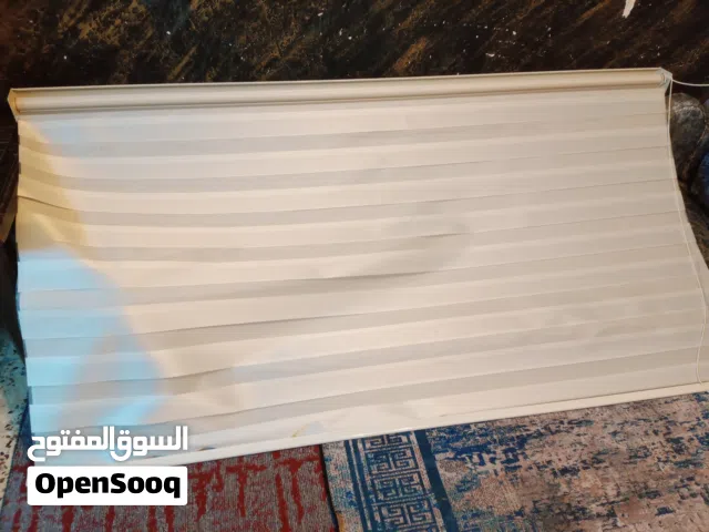 برادي زيبرا