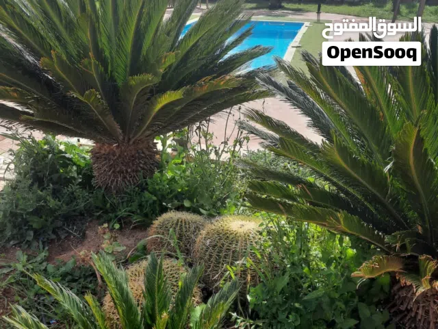 Studio Chalet for Rent in Amman Al-Rjoum