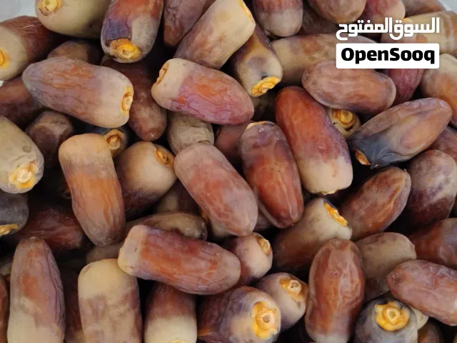 سح نغال الطائين 2026