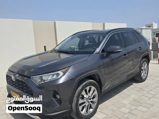 2019 Toyota RAV 4 XLE