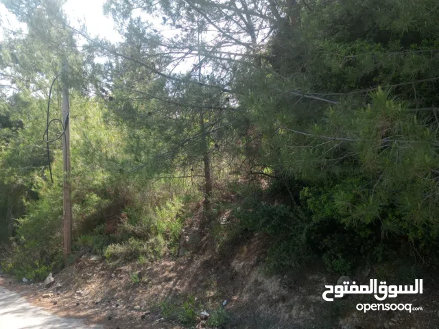Residential Land for Sale in Batroun Other