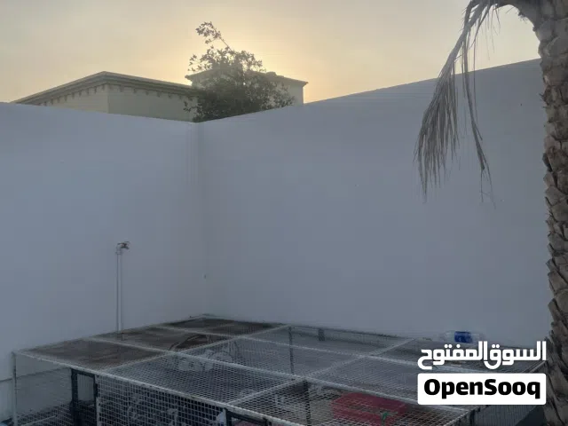 قفص كبير للبيع ( انا فقط وسيط السعر قابل بشي بسيط )