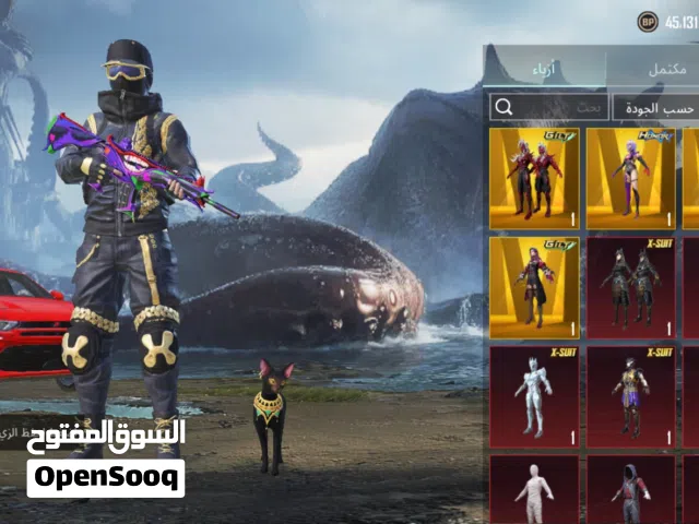 Pubg Accounts and Characters for Sale in Al Dhahirah