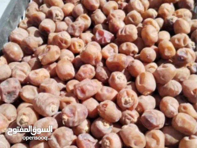 تمر برحي ابى الخصيب