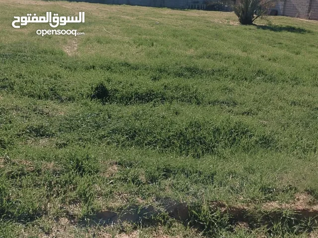 Residential Land for Sale in Misrata Tamina