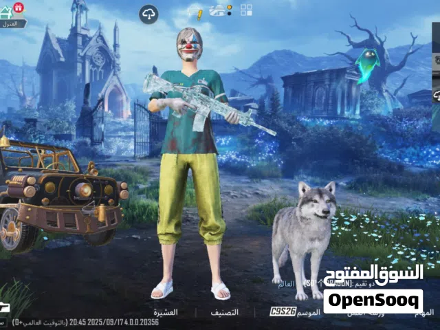 Pubg Accounts and Characters for Sale in Basra