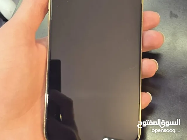آيفون 12 pro max