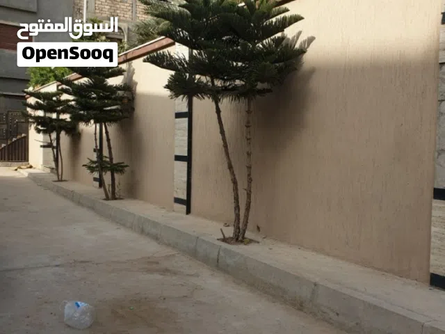 شقة دور ارضي مستقلة للايجار سوق الجمعه بتجاه شيل المسكر أربعة شوارع ماما