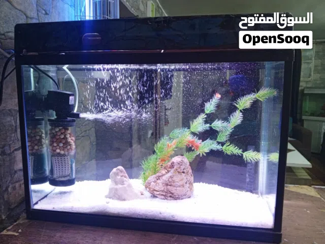 حوض اجنبي 60 س