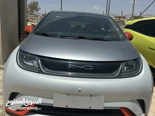 Used BYD Dolphin in Irbid