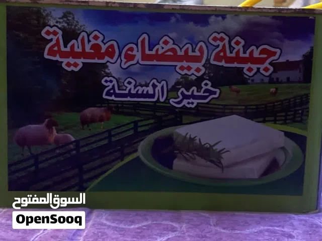 جبنة بيضة طرية