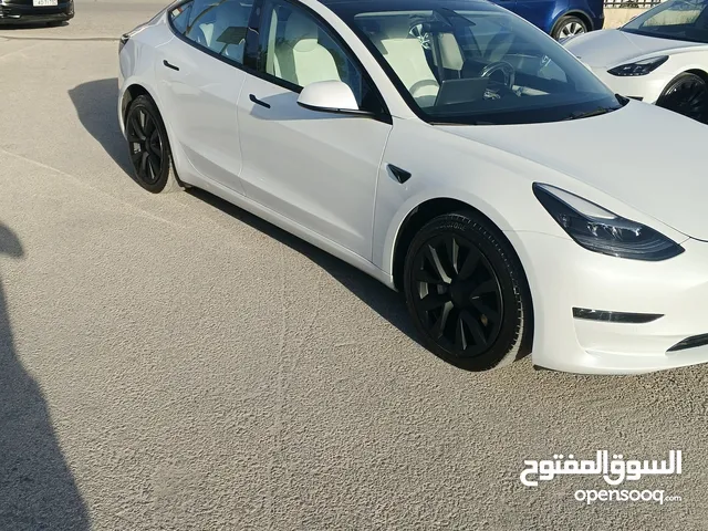 Tesla model 3 2021