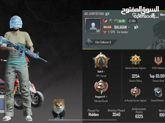Pubg Accounts and Characters for Sale in Amman