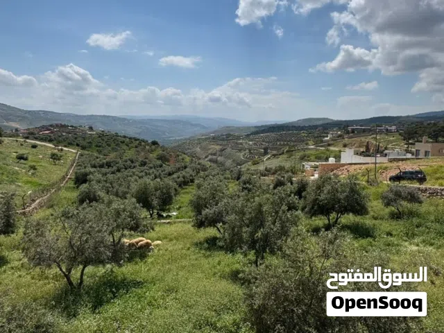 Farm Land for Sale in Jerash Other