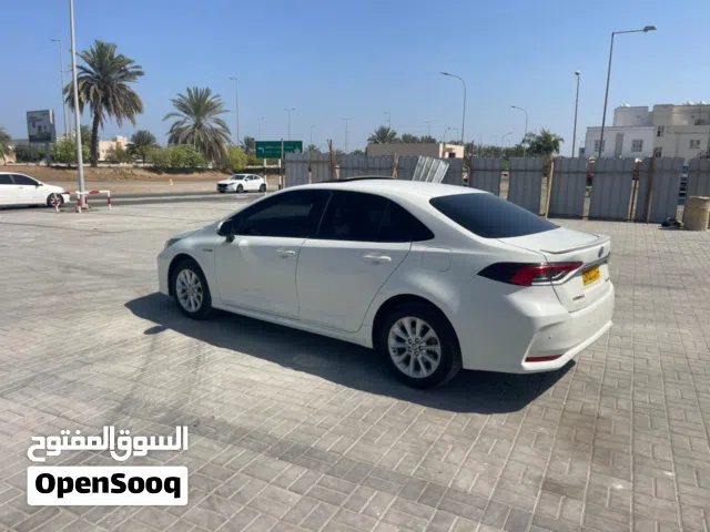 Used Toyota Corolla in Muscat
