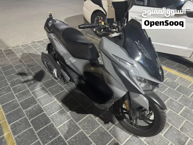 2024 Sym أخرى