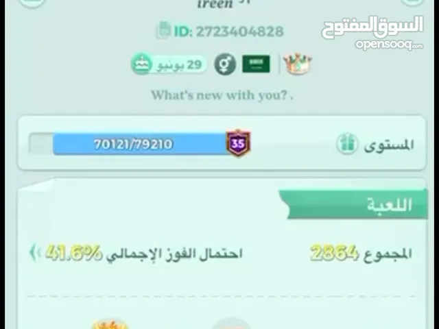 Ludo Accounts and Characters for Sale in Mecca