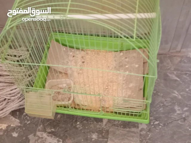 قفص عصفير بحالي جديده استعمال خفيف