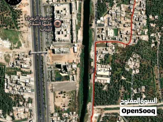 قطعة ارض بأتجاه حي العباس للبيع او مراوس بسيارة حسب القناعة