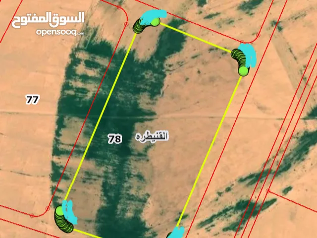 land for sale in alqunaitrah 61012sqm ( Property 38700 )-174714068