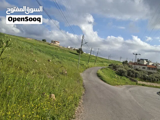 Residential Land for Sale in Salt Ein Al-Basha