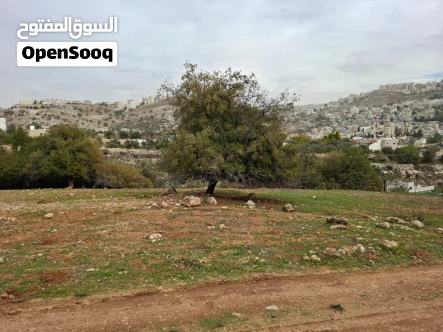 قطعة أرض في منطقة النعير من المالك مباشرة