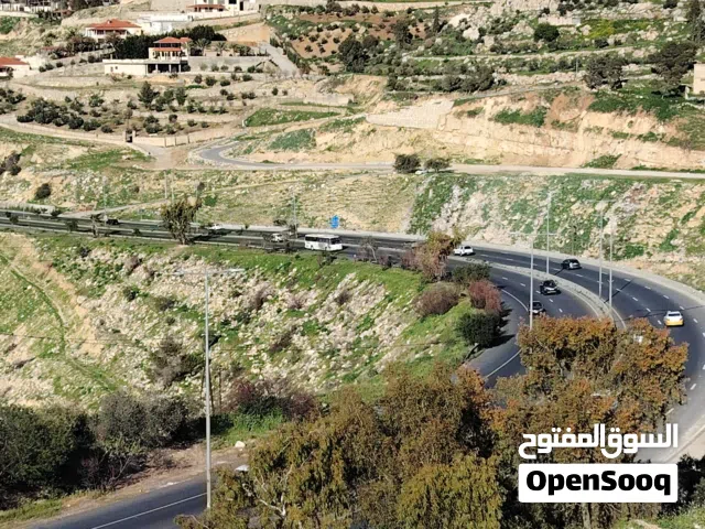 4 دنمات واجهة على الشارع الرئيسي جرش عمان