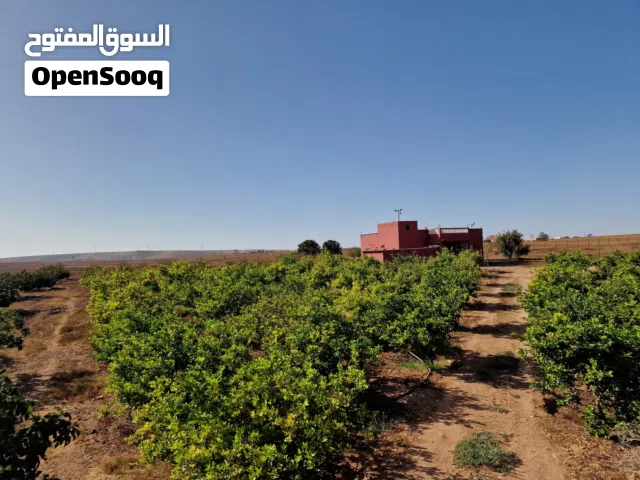 Farm Land for Sale in El Jadida Other