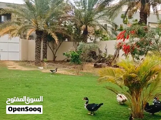 إستراحة للبيع داخل سوق الجمعة عرادة بالقرب من جامع المية الحلوة على أرض 990 متر