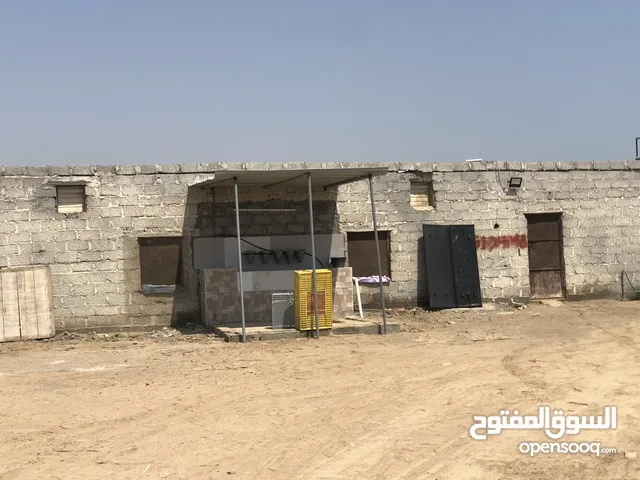 Farm Land for Sale in Al Batinah Suwaiq