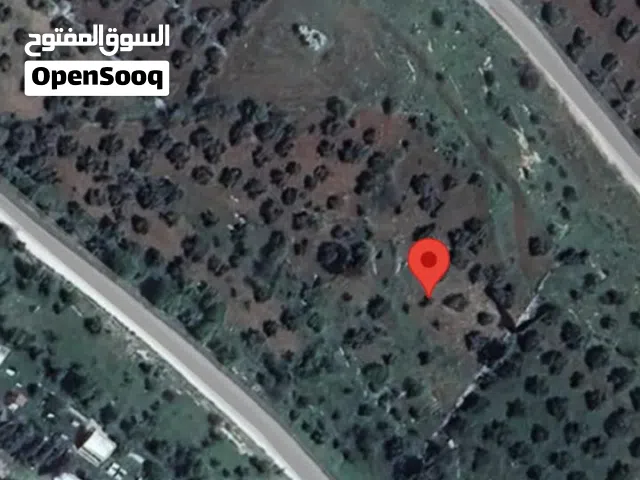 Mixed Use Land for Sale in Irbid Shatna