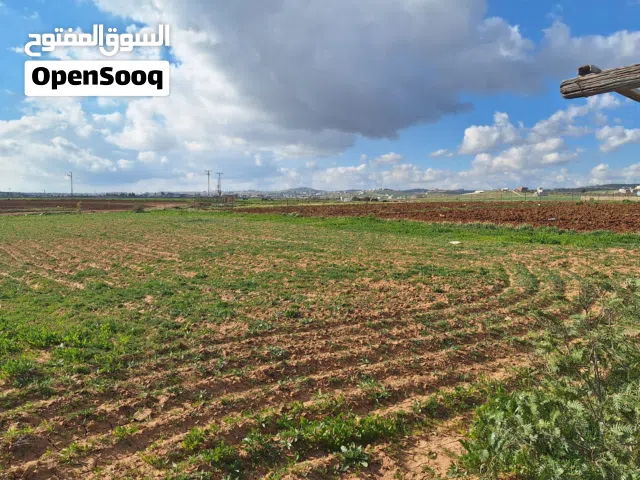Mixed Use Land for Sale in Mafraq Bala'ama