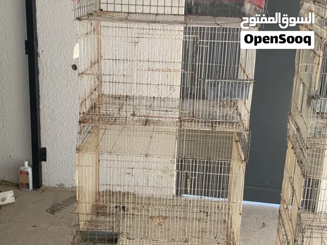 اقفاص بيضاء للبيع